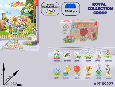 SM186B 12 IN 1 BUILDING FIORI CM 12.5X7 DISPLAY 12 PZ